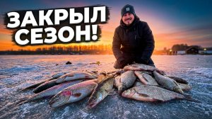ЛУЧШАЯ РЫБАЛКА СЕЗОНА🎣🔥 5+ кг подлещика, куча форели и Судак, как вишенка на торте🍒