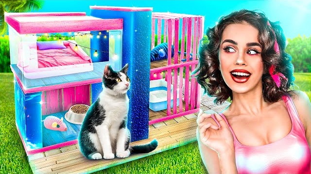 Строим домик мечты для котенка! Мы спасли бездомного котенка