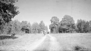 Алексеевтар төрүччүлэрэ.