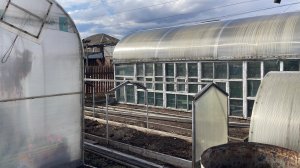 🏡 Огородно-тепличный Vlog. Сею на рассаду огурцы, кабачки. Небольшой обзор теплиц.