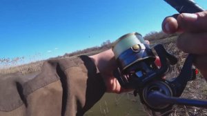 В ручье после пожара — бешеный клёв карася на поплавок