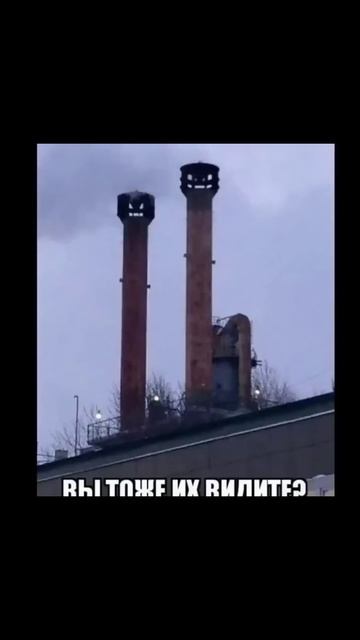Лютые мемы Игорь сушеный