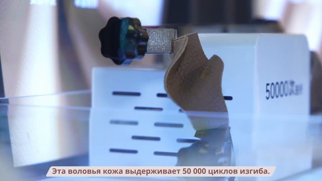 2026 ZY Advanteges V4