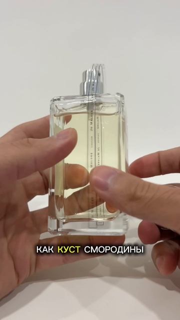 лучшие духи для девушек - топ 3 #духи #парфюм #ароматыдляженщин #женскиеароматы #купитьдухи #духикуп