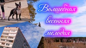 МУЗЫКА ДЛЯ ДУШИ. Красивые спокойные мелодии