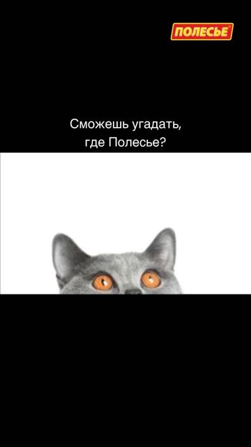 Сможешь угадать, где Полесье?