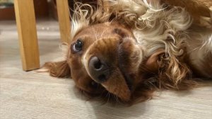 Зелёная трава