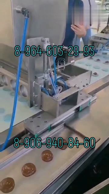 Станок для производства макарун (дозирование начинки и укладки крышек)