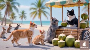 Котики - сборник [25 минут]