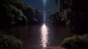 Endlight — quiet reflections for introspective hours