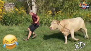 Смешные моменты снятые на камеру