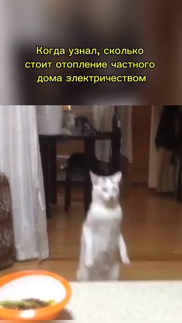 отопление электричество тарифы частныйдом скгаз