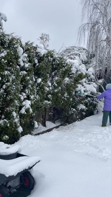 Видео от Агроном по защите растений