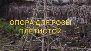 Опора под плетистую розу своими руками.Каракатица готова🤣,роза подвязана.28.04.26.