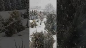 ✨ Господь Ты моя надежда
 Христианская песня 🌸