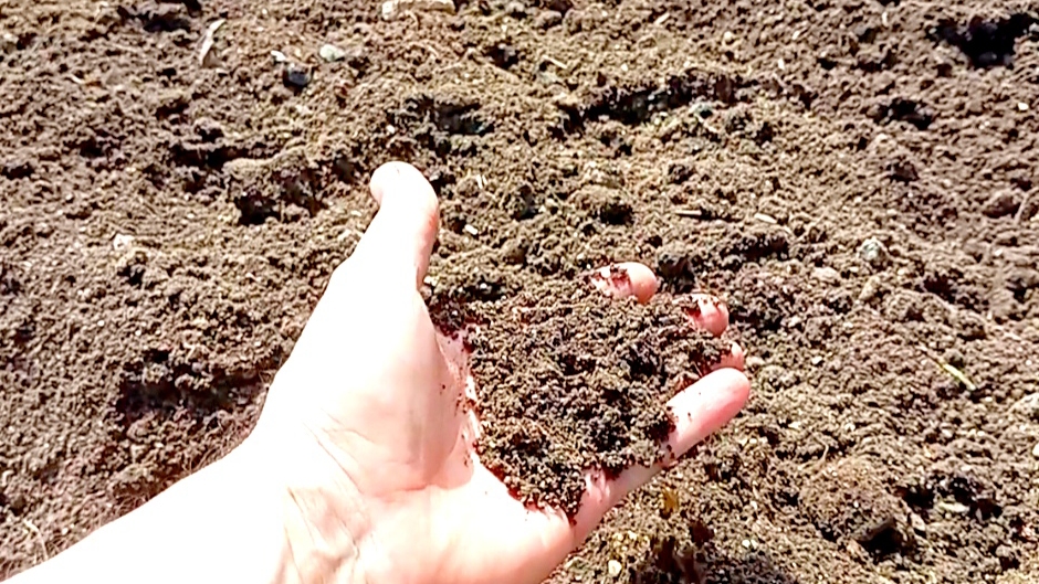 Подготовка почвы для посадки картофеля