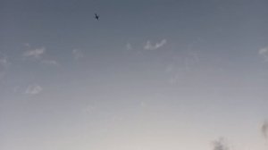 Рубрика  Лучшая прогулка