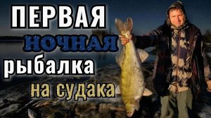 Первая весенняя рыбалка с ночёвкой по судаку! Ловим судака на резинку.