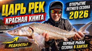 ПОЙМАЛ ОСЕТРА из КРАСНОЙ КНИГИ?! 😱 Открытие летнего сезона 2026 в ХАНТАХ