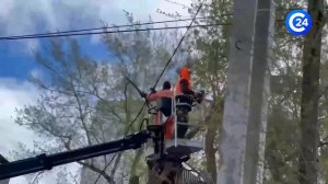 В Заводском районе Саратова убрали аварийные деревья после обращений жителей