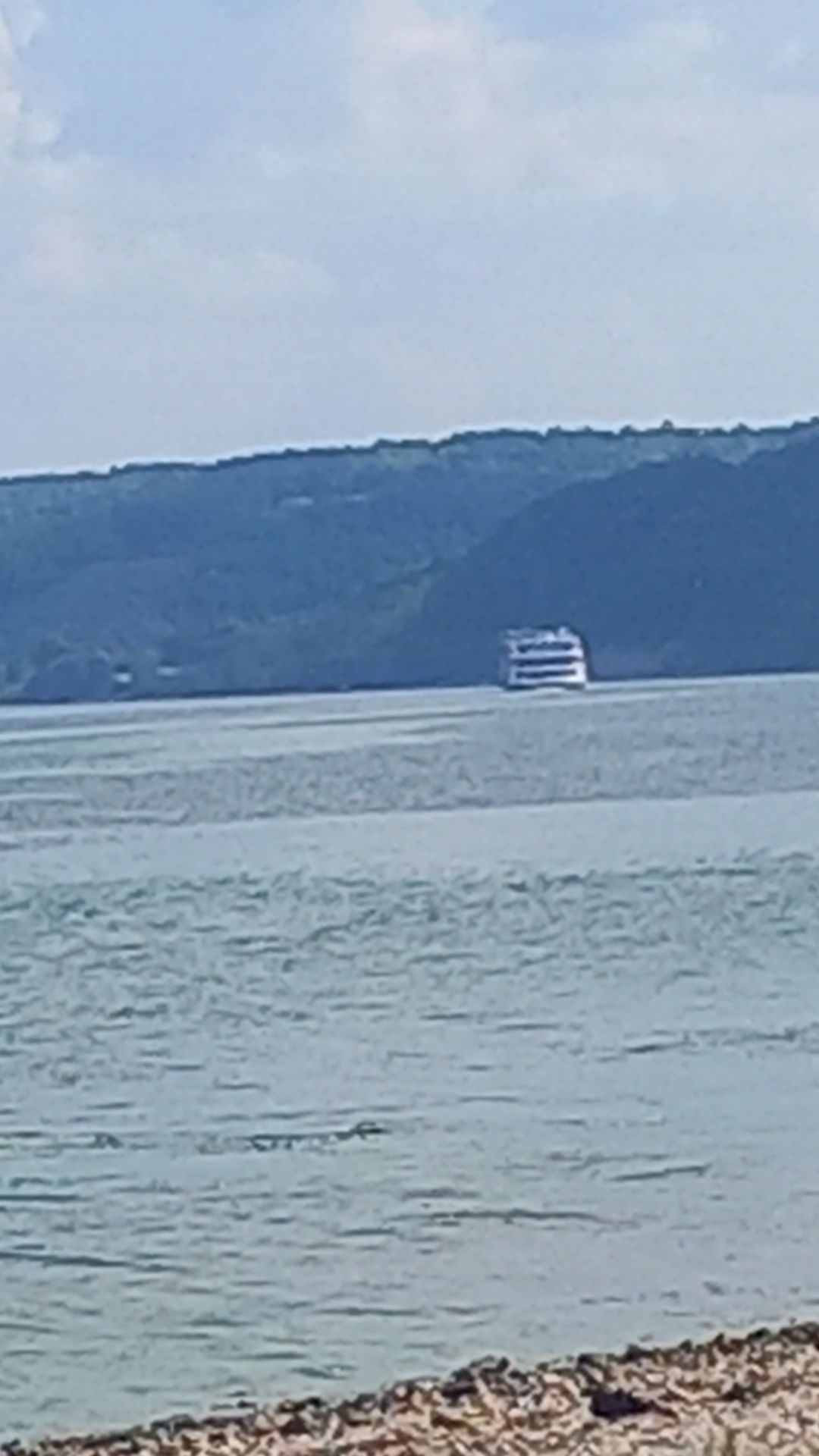 Волга и рябина