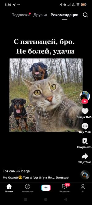 хз что писать