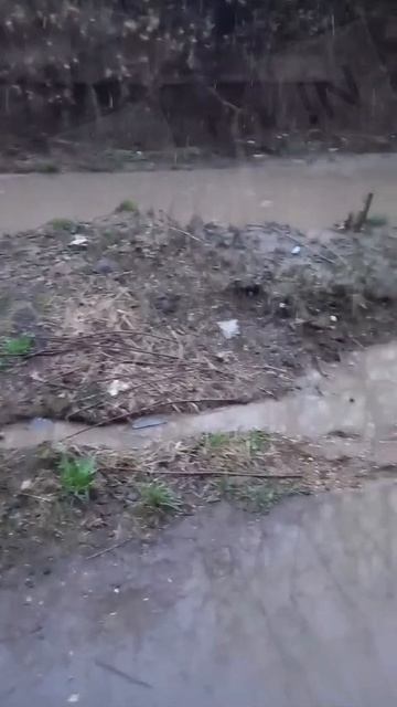 24-я Линия продолжает уходить под воду