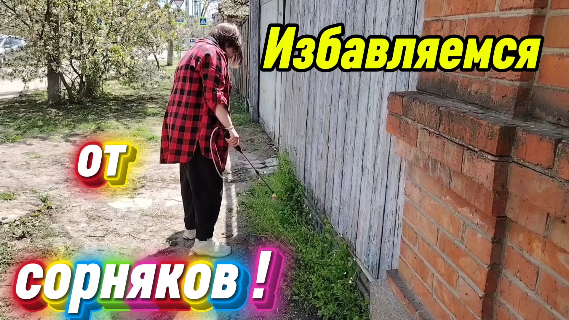 Ейск ! Избавляемся от сорняков, доставка, всё гениальное просто, разговор по комментариям 28-04-2026