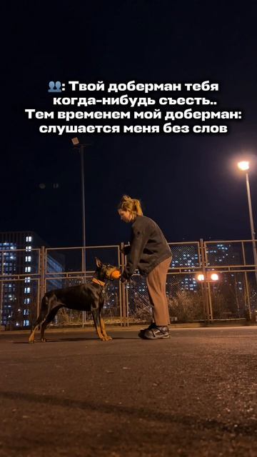 ОПАСНАЯ СОБАКА? ⛔️