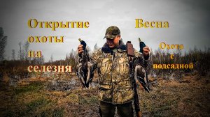 Охота на селезня весной с подсадной уткой.