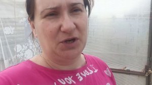 27.04.2026/ теплица, сею...