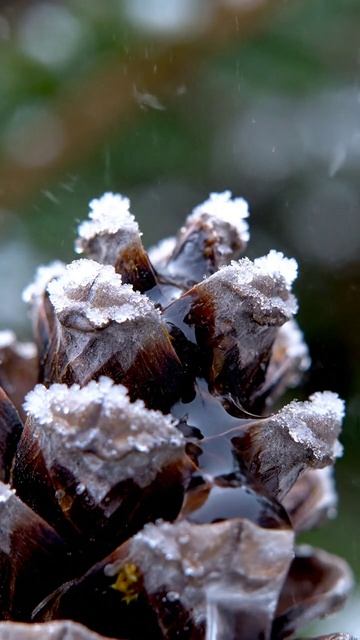 Когда иней приоткрывает тёмную щель