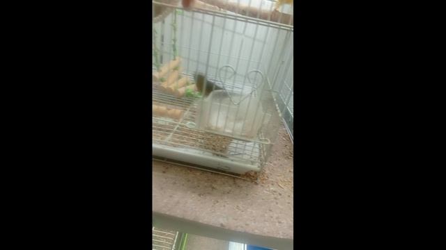 1000049107.mp4 смотреть онлайн