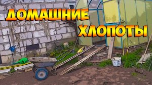 Домашние хлопоты.