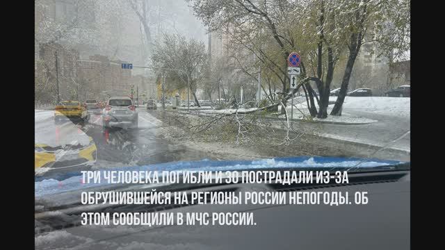 Снежный шторм в Москве и регионах.Ураганные ветра и поваленные деревья.Есть погибшие.