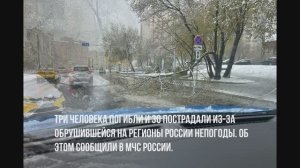 Снежный шторм в Москве и регионах.Ураганные ветра и поваленные деревья.Есть погибшие.