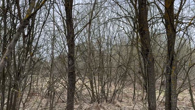 рп. им. Цюрупы, ул Левычинская