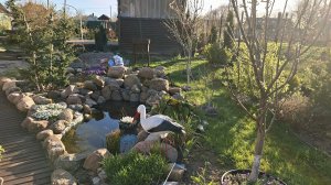 Похолодало, но работать надо.Приступила к уборке в зоне прудика. #любимаядача💚