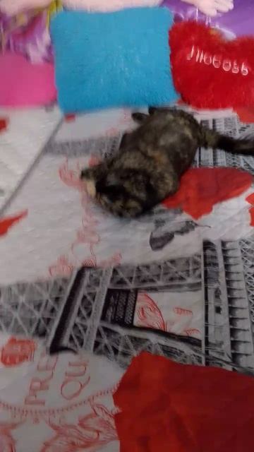 Проводим время с Бусинкой