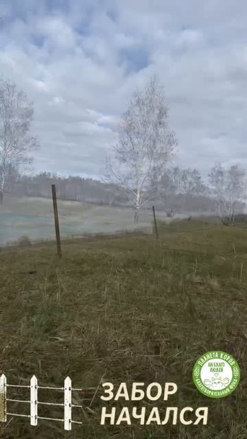 Первые столбы для забора прочно установлены в землю и теперь замерли в ожидании покраски.