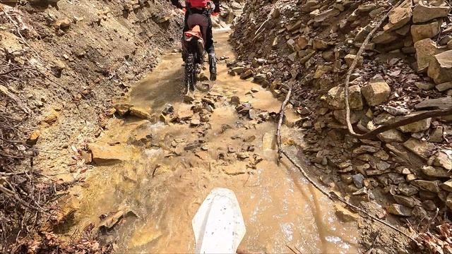 Севастополь Эндуро! Галя2 3 столба Горох Дохлая лиса Нефертити