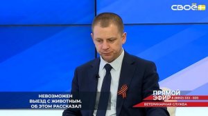 Домашние животные должны быть привиты против бешенства