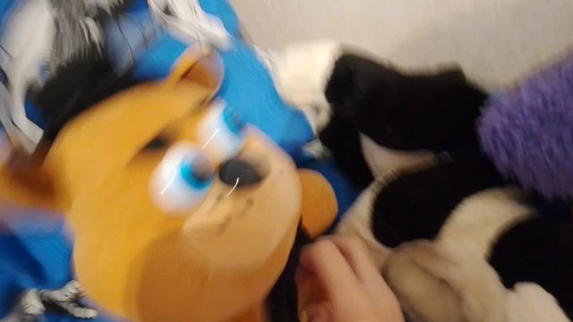 нападение Хаги ваги на лагерь