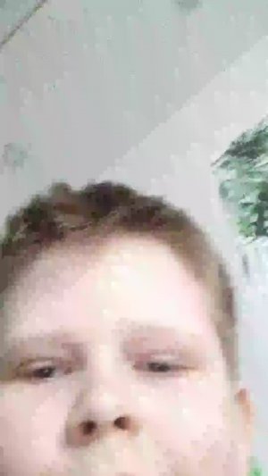 смотрим домера.