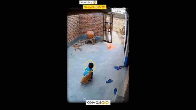 Калейдоскоп 94