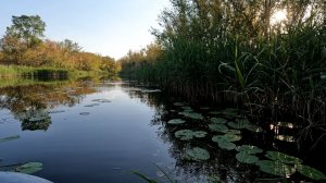 Перепад погоды.
