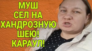 МУШ СЕЛ НА ХАНДРОЗНУЮ ШЕЮ. ОЛЬГА ИЗ ЗАУРАЛЬЯ. ОБЗОР.