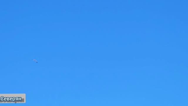 Прогулка по дворикам северного городка за Полярным кругом. ЖизньСеверян. апрель 2026. Лабытнанги.