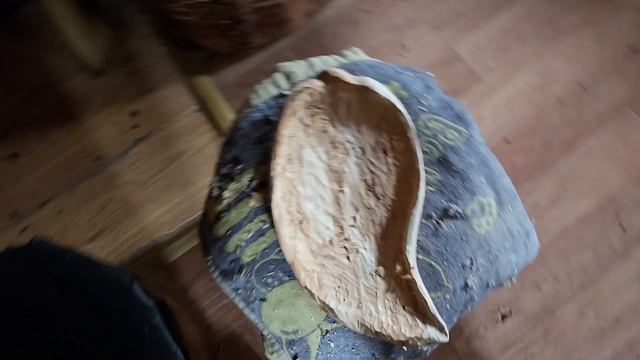 Дождливым утром посылка из Питера и долгожданная встреча