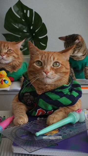 КОШГУ-ЛУЧШИЙ ВУЗ НАШЕЙ СТРАНЫ